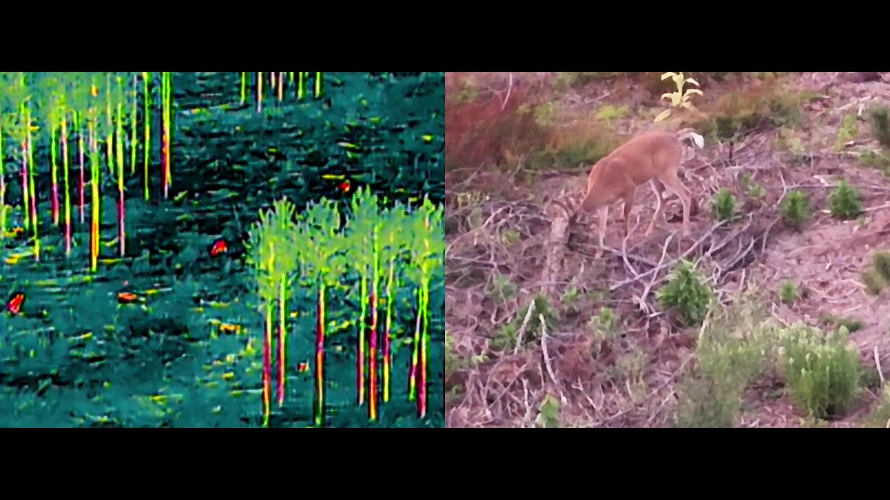 Deer: Thermal & Night Vision film preview
