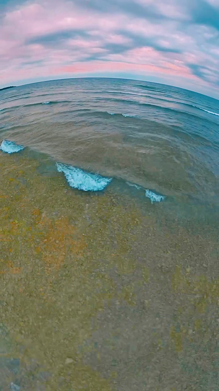 Shoreline Flight film preview