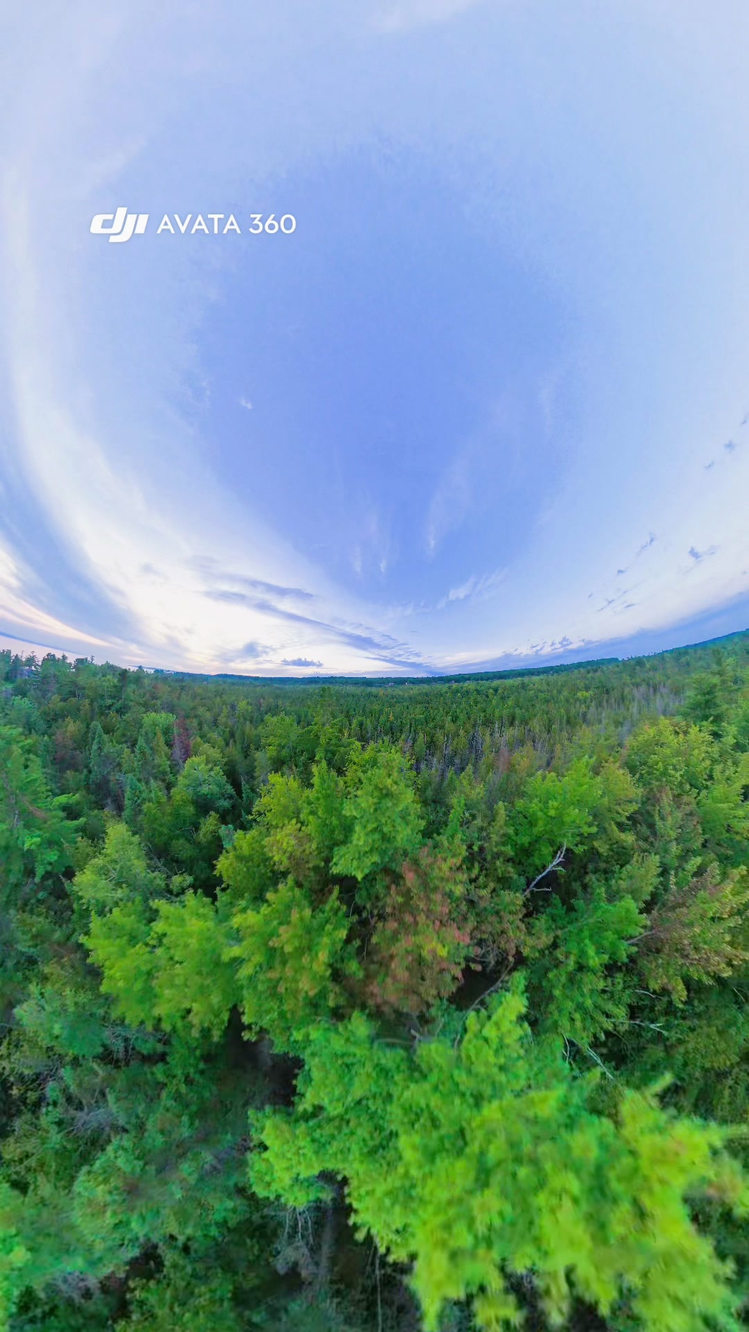 Treetop Glide film preview